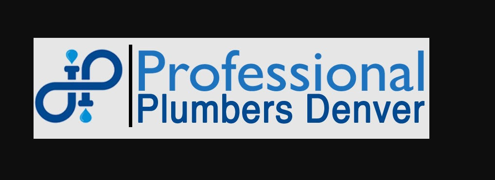 Professional Plumbers Denver